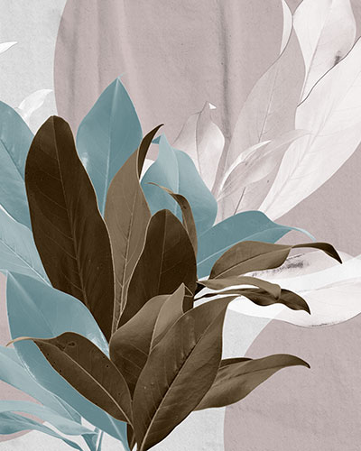 magnol-A-rivestimento-cerasa.jpg
