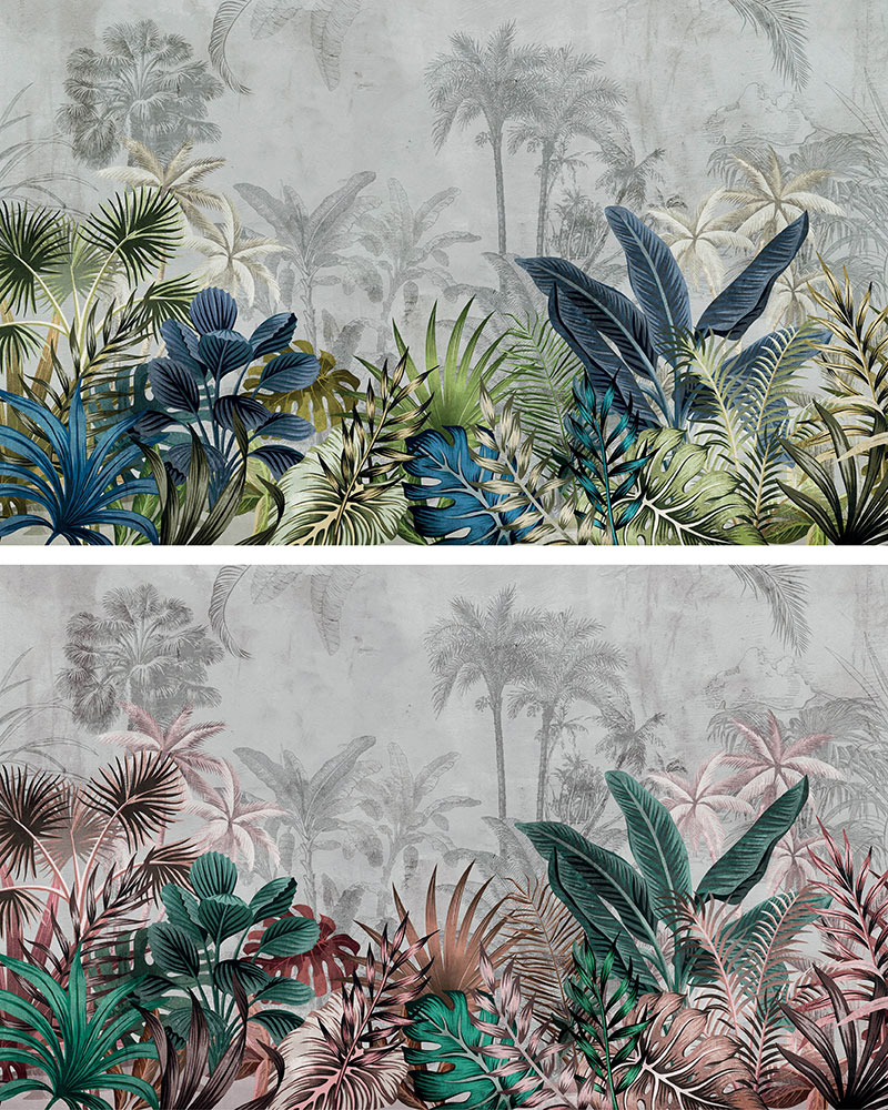 rainforest