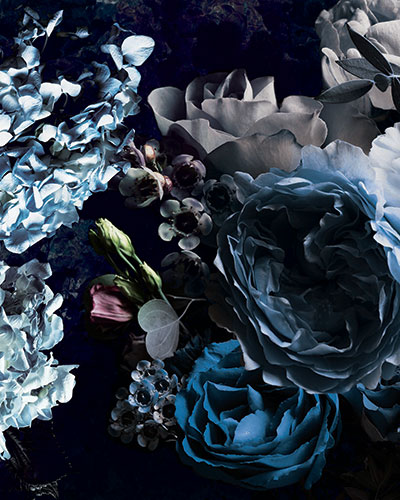 blossom-A-rivestimento-cerasa