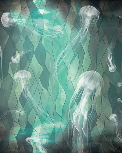 jellyfish-A-rivestimento-cerasa