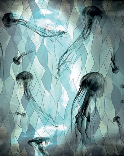 jellyfish-B-rivestimento-cerasa